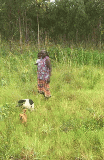 Bush_Food_Gathering_Butambil_Burarrwanga_and_grandchild_2017