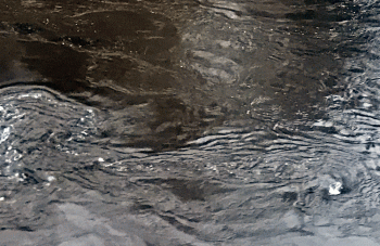 Kangaroo River in Flood